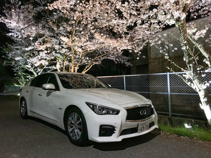 さっちゃん シルビアs15増車マン S Recent Tweets 5 Whotwi Graphical Twitter Analysis