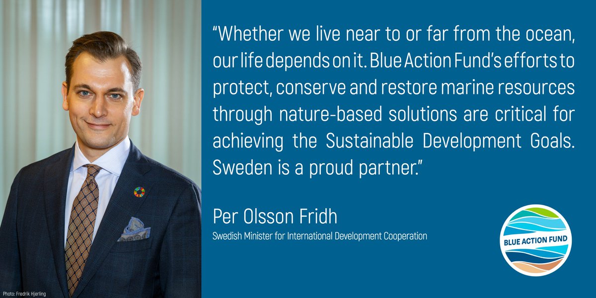 2021 is a crucial year for the ocean. How to shape a healthier and more resilient ocean and achieve #SDG14? Keep the momentum for ocean action at High-Level Event on 15 April with the Launch of @BlueActionFund Call. Join us &amp; register: bit.ly/2PokFB6 #SDG14 #OceanDecade