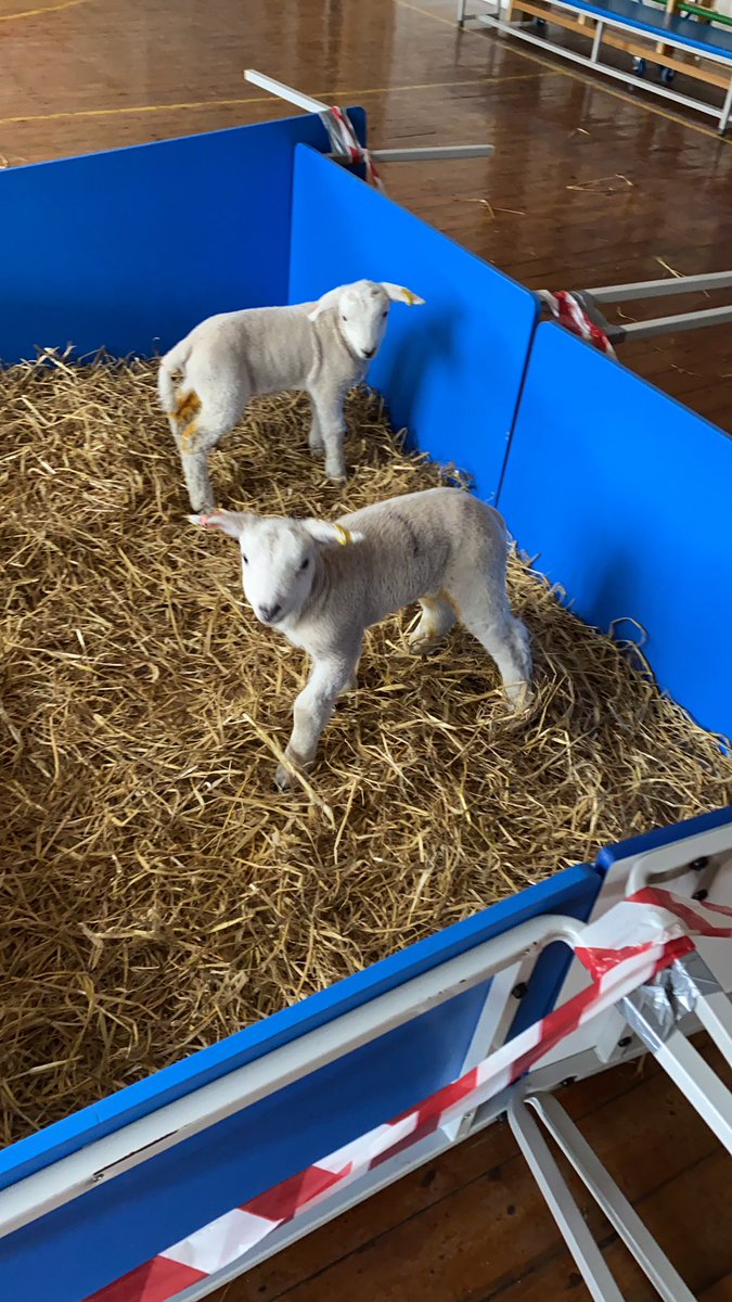 Kate Burton tweet media