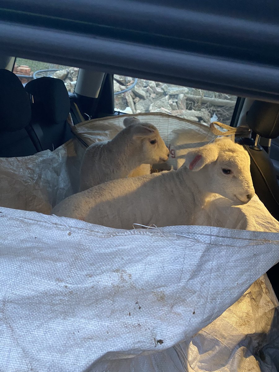 Kate Burton tweet media