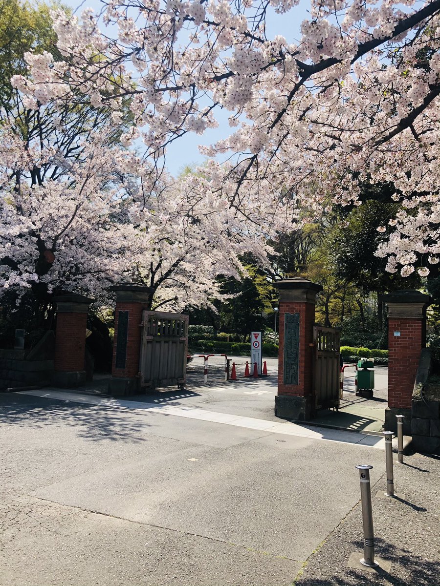 gakushuin_tri's tweet photo. 学習院大学に入学予定の皆さん！
入学式は未だですが、入学おめでとうございます

4月から新年度となり、授業やサークル、部活選び等忙しいですね！

トライアスロンは皆が初心者スタートで誰もが頂点を目指せる競技です
興味が少しでもある方、DMお待ちして���す！

#春から学習院 #トライアスロン部 https://t.co/Q5fWauKOrl