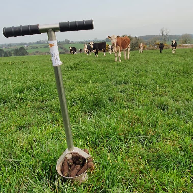 Barrett_Agri's tweet photo. Soil sampling grassland today to be reseeded. https://t.co/KTMabrs07S
