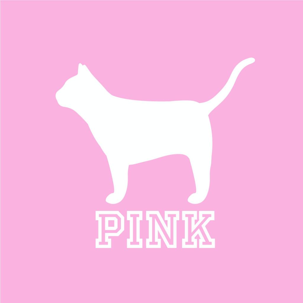 VSPINK's tweet image. 🚨Major news alert🚨 Meet our new icon…the PINK Cat! Yup, we’re saying farewell to our PINK pup and welcoming our new feline friend!😻