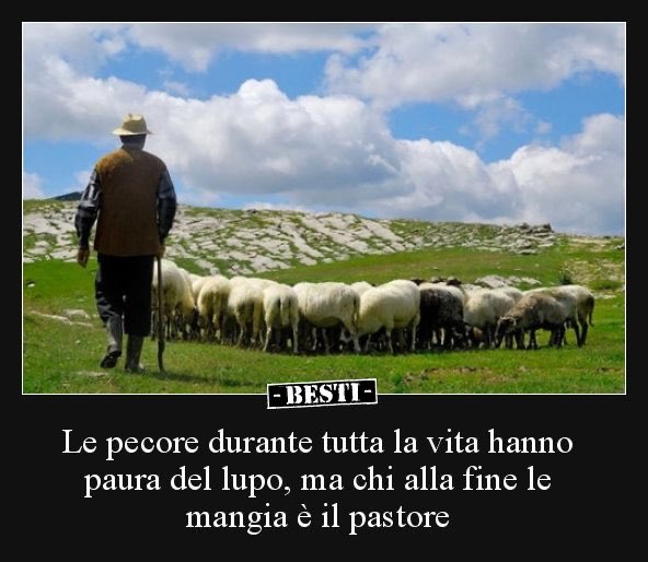 arianna smit on Twitter: "@enkidC Dare sempre la colpa ai lupi fa comodo  alle pecore... Le pecore durante tutta la vita hanno paura del lupo, ma chi  alla fine le mangia è