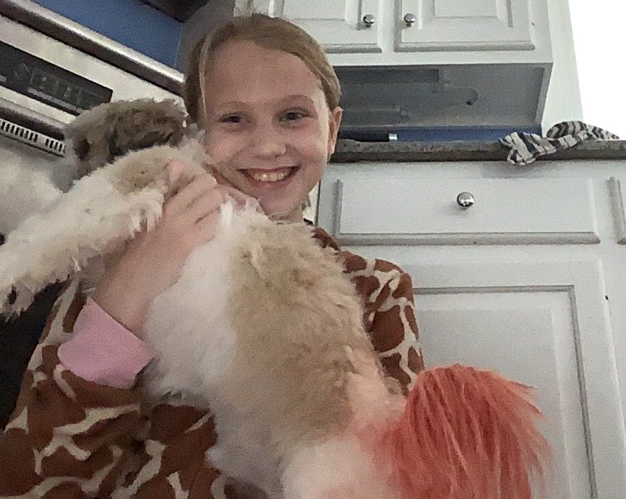 SJEkstrand5's tweet photo. When you come home to learn your youngest has dyed the dog’s tail pink. And then you start entertaining her request to dye her own hair pink for spring break. #5thchild #weeziesworld https://t.co/cGmBjWoRoz