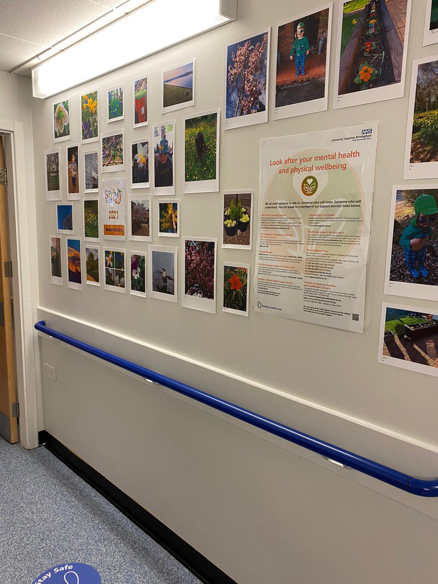 Harriet Brown tweet media