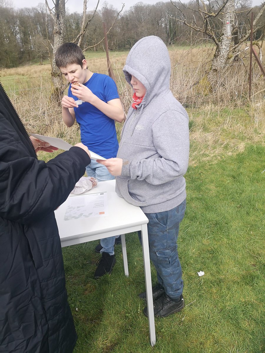 prz_ac's tweet photo. Today was also an opportunity to congratulate all S1/2 young people on achieving the John Muir Discovery Award 🌞🌳🌷 https://t.co/KNiE5TQ0zz