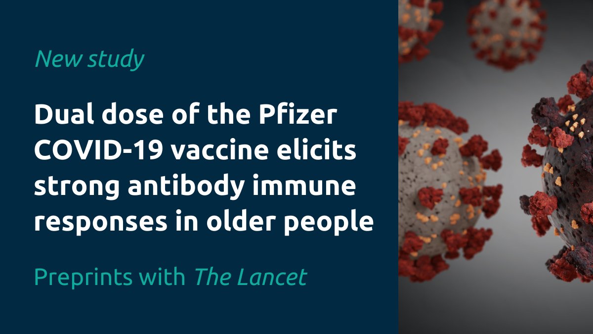 🆕A new study by #UKCIC researchers from @UniBirmingham found that 98% of people aged 80+ who had 2 doses of the Pfizer #COVID19 vaccine produced a strong antibody immune response 

Read more on our website👉uk-cic.org/news/dual-dose…