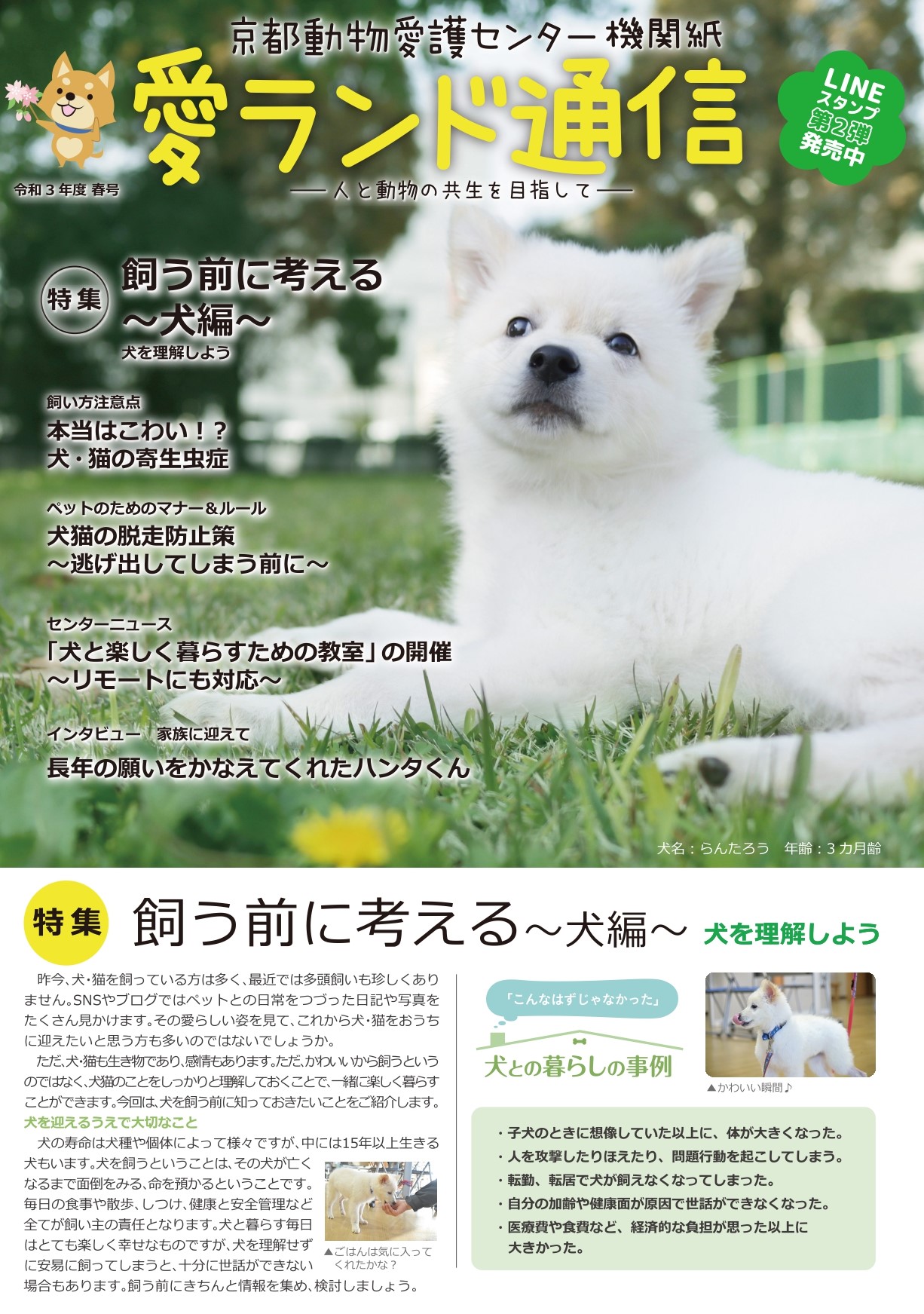 Kyoto Ani Love 京都動物愛護センター 愛ランド通信を発刊しました 京都動物愛護センターの機関紙 愛ランド通信 を発刊しました 本号の特集記事は 飼う前に考える 犬編 と題し 犬を迎える前に知っておきたいことをまとめました 是非 御