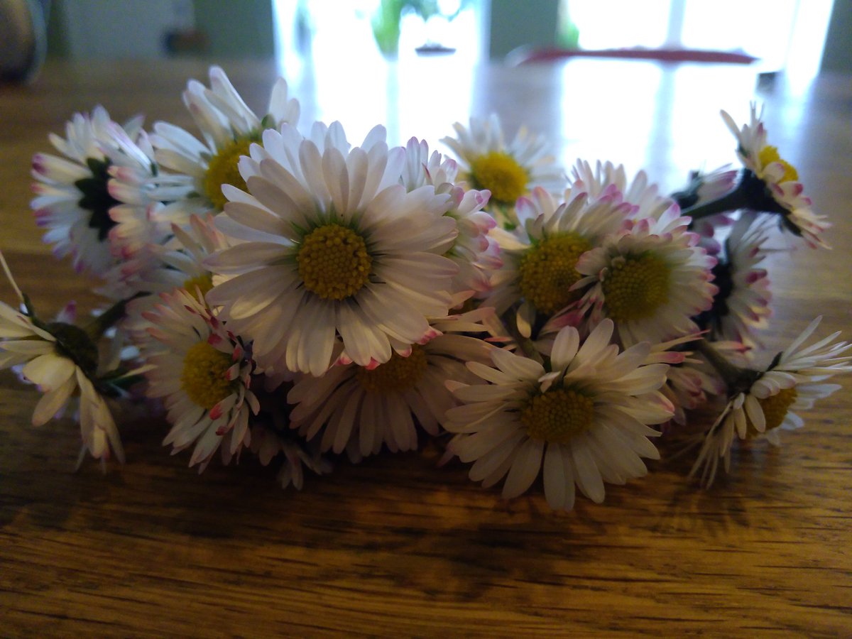MissBeautests's tweet photo. Bonne journée 😊🌼☀️ #sun #happyday #Flowers https://t.co/o46CDvFN8H