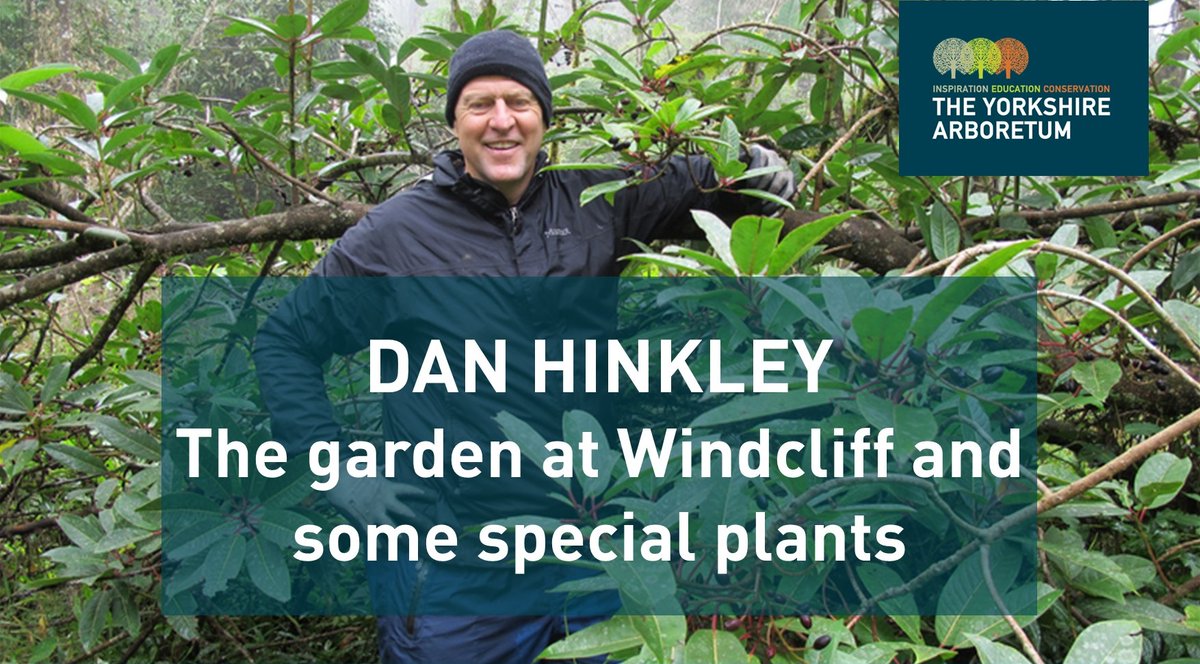 YorksArboretum's tweet image. Our next Virtual Garden Talk is with Daniel J. Hinkley, Thurs 8 April, 7.30pm: &apos;The garden at Windcliff&apos; is not to be missed as Dan joins us from Washington State to discuss this beautiful garden and the plants grown there. Book your place here:

yorkshirearboretum.org/events/2021/4/…

#yorarb