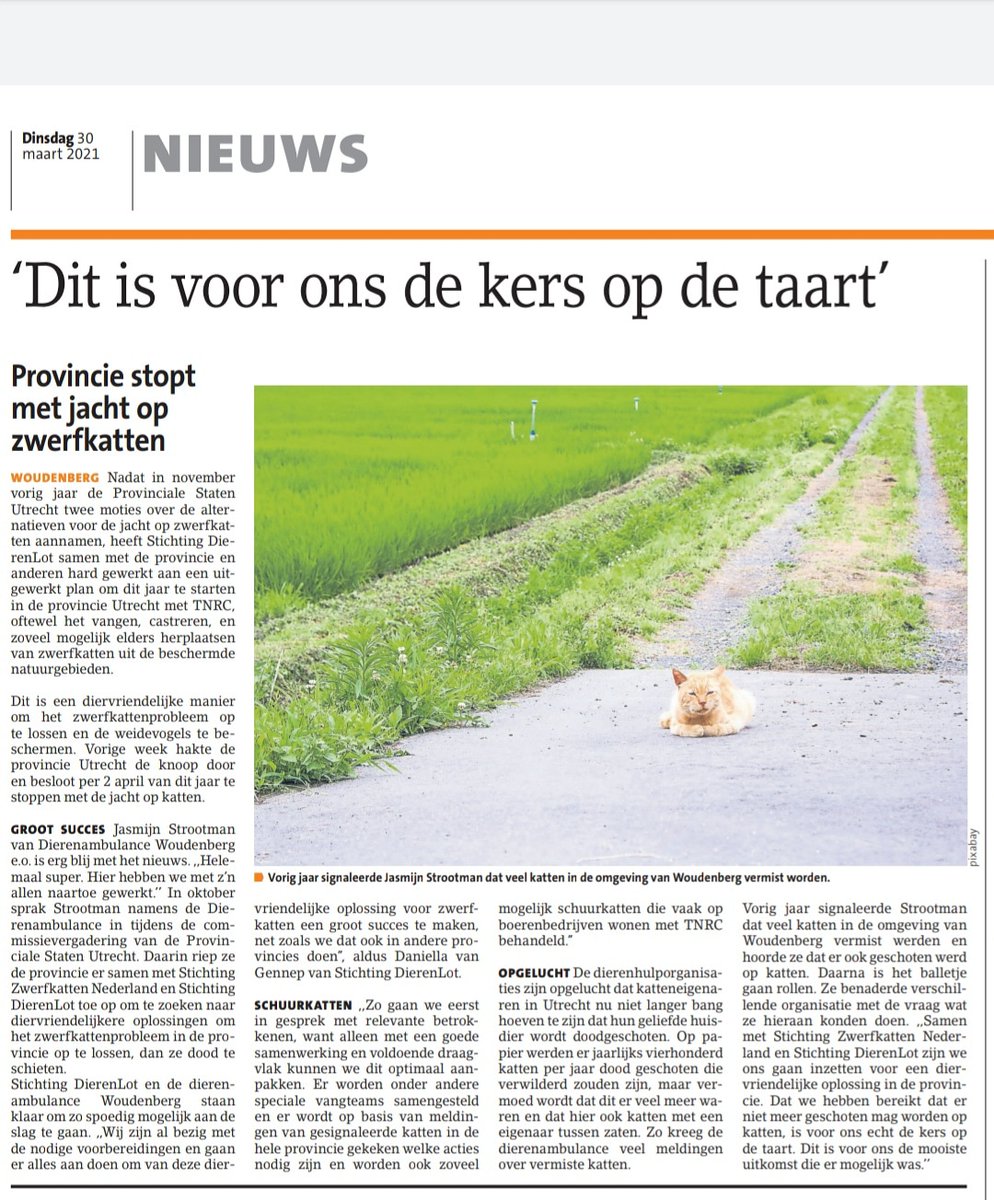 Jasmijn (@stroo87) on Twitter photo 