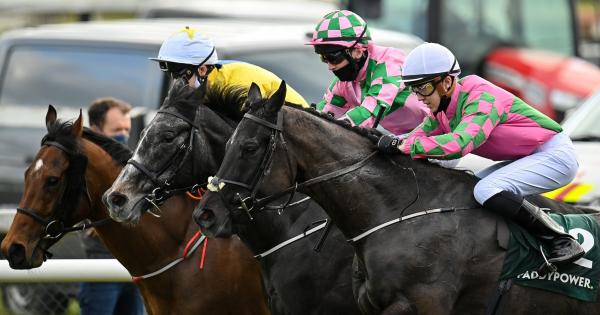 Ruby Walsh tips Donegal jockey as one to watch in 2021