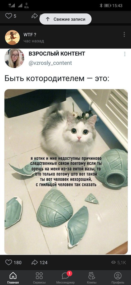 smith_isin's tweet photo. @vzrosly_content ты популярна https://t.co/Xwj4U26kR6