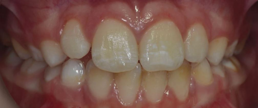 BDJ Portfolio tweet media