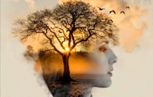 sanjaraic1's tweet image. Deepset
aroma of cypresses
tickling my nostrils
Soul forest
blooms within
april breeze.

#Poetryin13 #deepset
#art Fernando Cortes