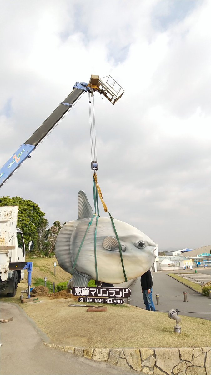今朝7時30分頃、志摩マリンランドの前を通ったら、マンボウの