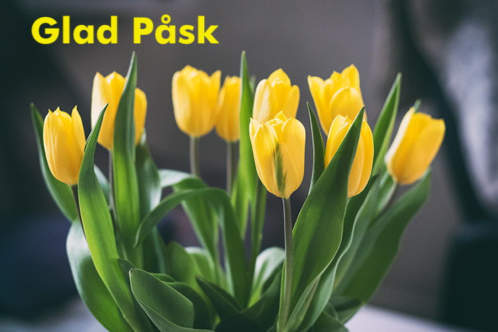 MDSolution_AB's tweet image. MD Solution önskar er alla en Glad Påsk!