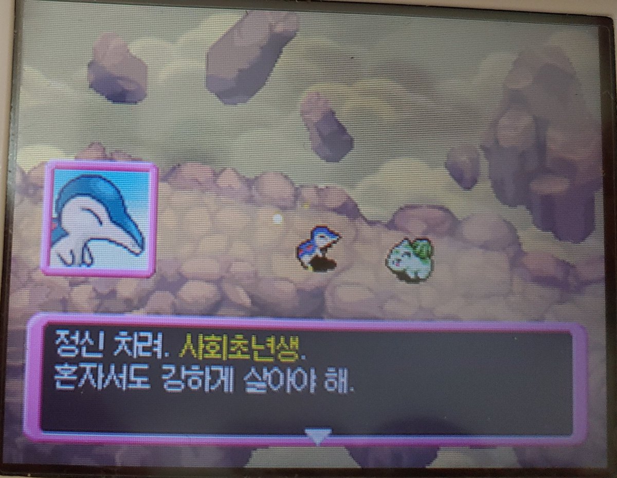 senam222's tweet photo. 포켓몬 불가사의 던전 이상한 짤 모으기 https://t.co/LOy3LPcAeH
