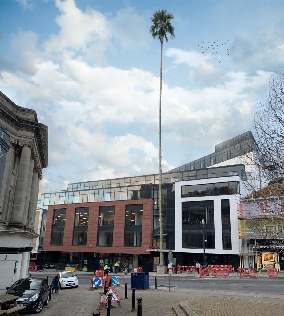 Featured image of post View 17 Hilton Torquay Uk