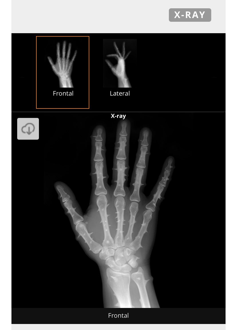 rhidian_hurle's tweet photo. You won’t see Cactus disease but you will see all “real” patient images across NHS Wales regardless of health board source using #WelshClinicalPortal  @DHCWales @bobbyhud @helenthomas100 @ifan_e #BetterSaferCare https://t.co/Qrkt9uG899