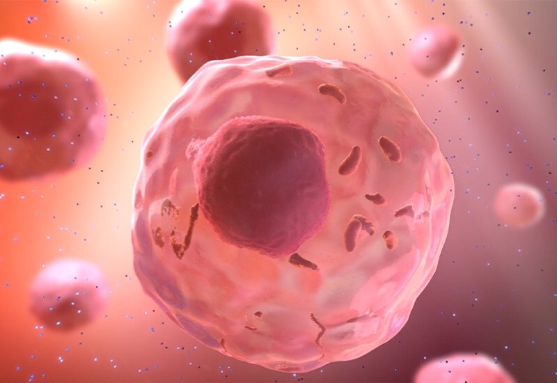 The Edge tweet media