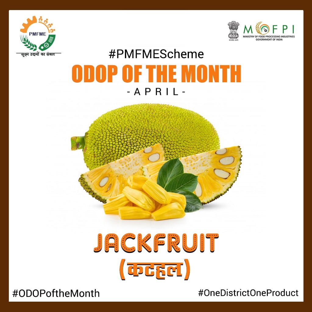 PMFMEScheme's tweet photo. Celebrate the month of April with #Jackfruit and Jackfruit Based Products.
#ODOPoftheMonth #ODOPApril #OneDistrictOneProduct #pmfmescheme #VocalForLocal #AtmaNirbharBharat #JackfruitProducts #JackfruitProcessing #JackfruitRecipes #JackfruitStories #foodprocessing https://t.co/mKEri7fPNg