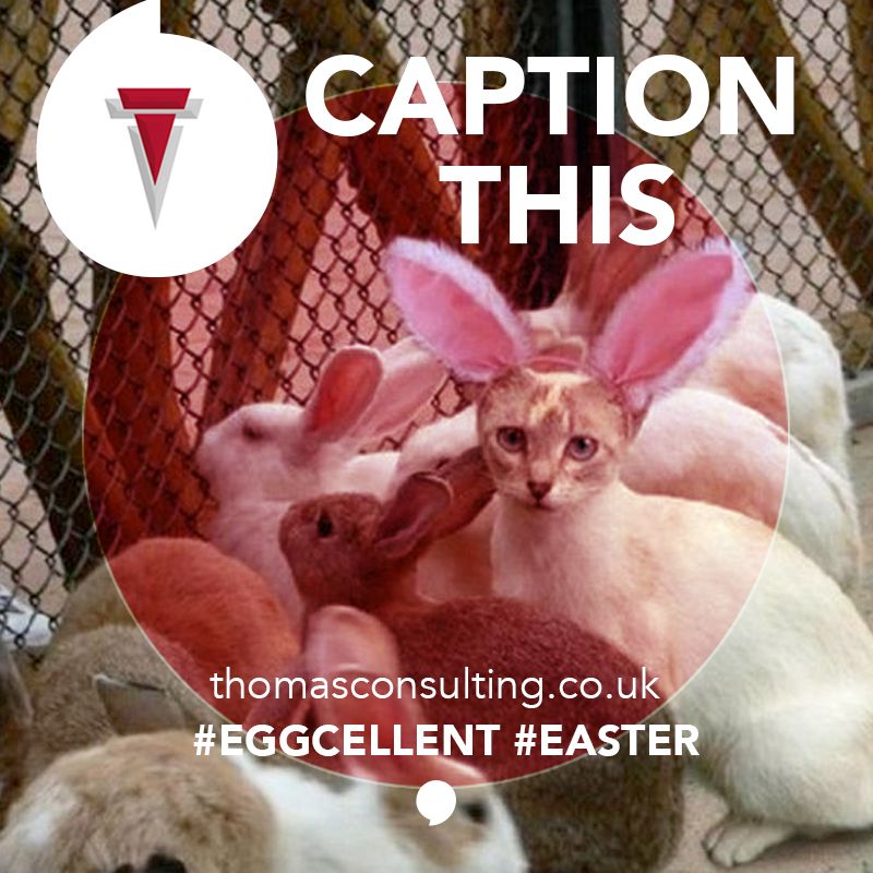 Thomas Consulting Ltd tweet media