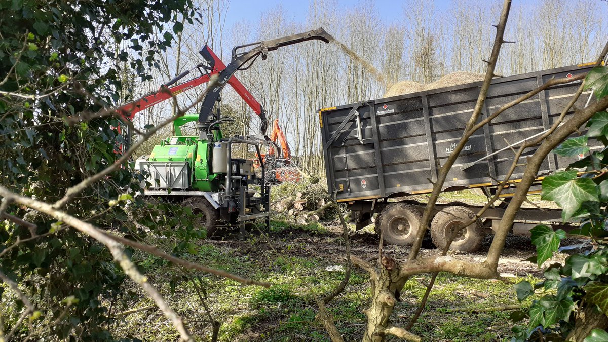 TingewickPotter's tweet photo. More #HS2 #ecocide - destruction of entire wood in Chetwode. Everything is being chipped, tree trunks &amp; all. Apart from the appalling environmental cost, that wood had a monetary value too. #scorchedearth #stophs2 #wrongpriority #costingtheearth @gregsmith_uk @Hs2Rebellion https://t.co/Xv7e8Mqnkt