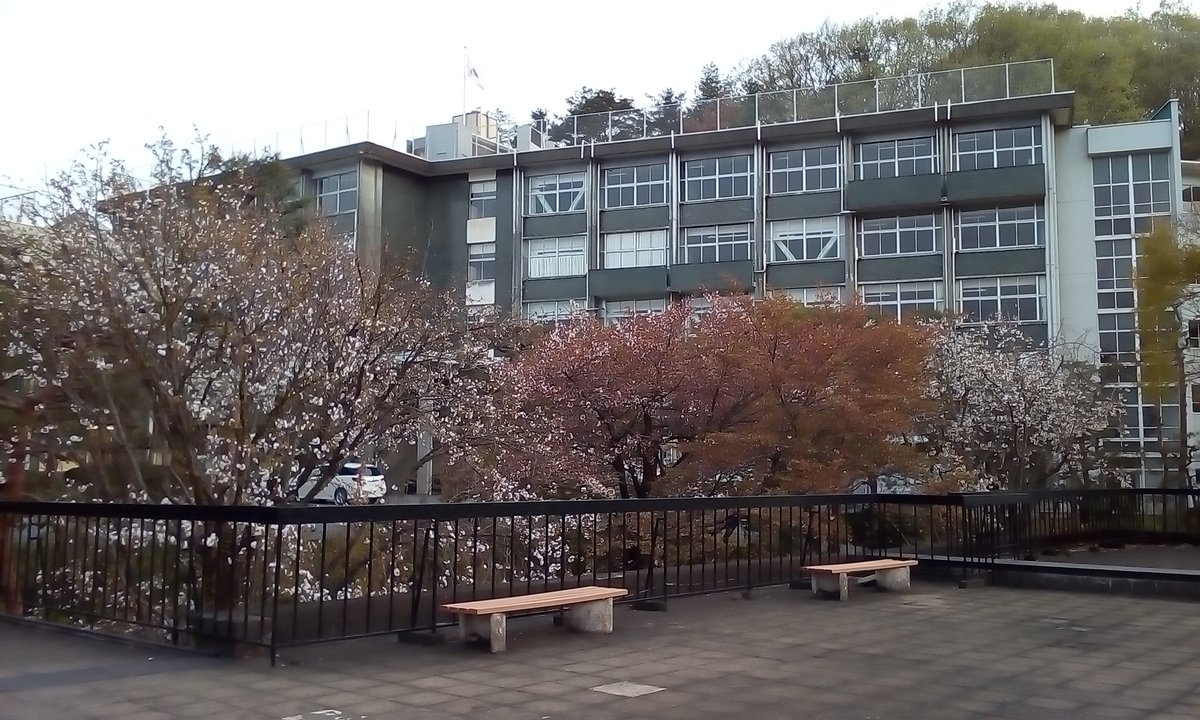 國學院 大學 栃木 短期 大学