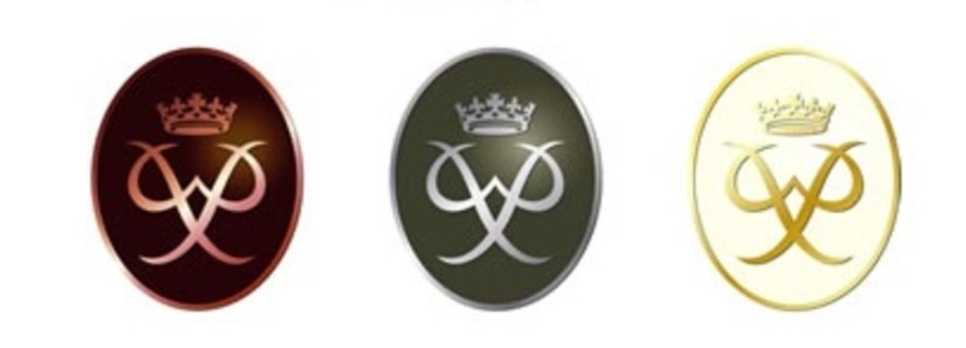 Abigail Robertson tweet media