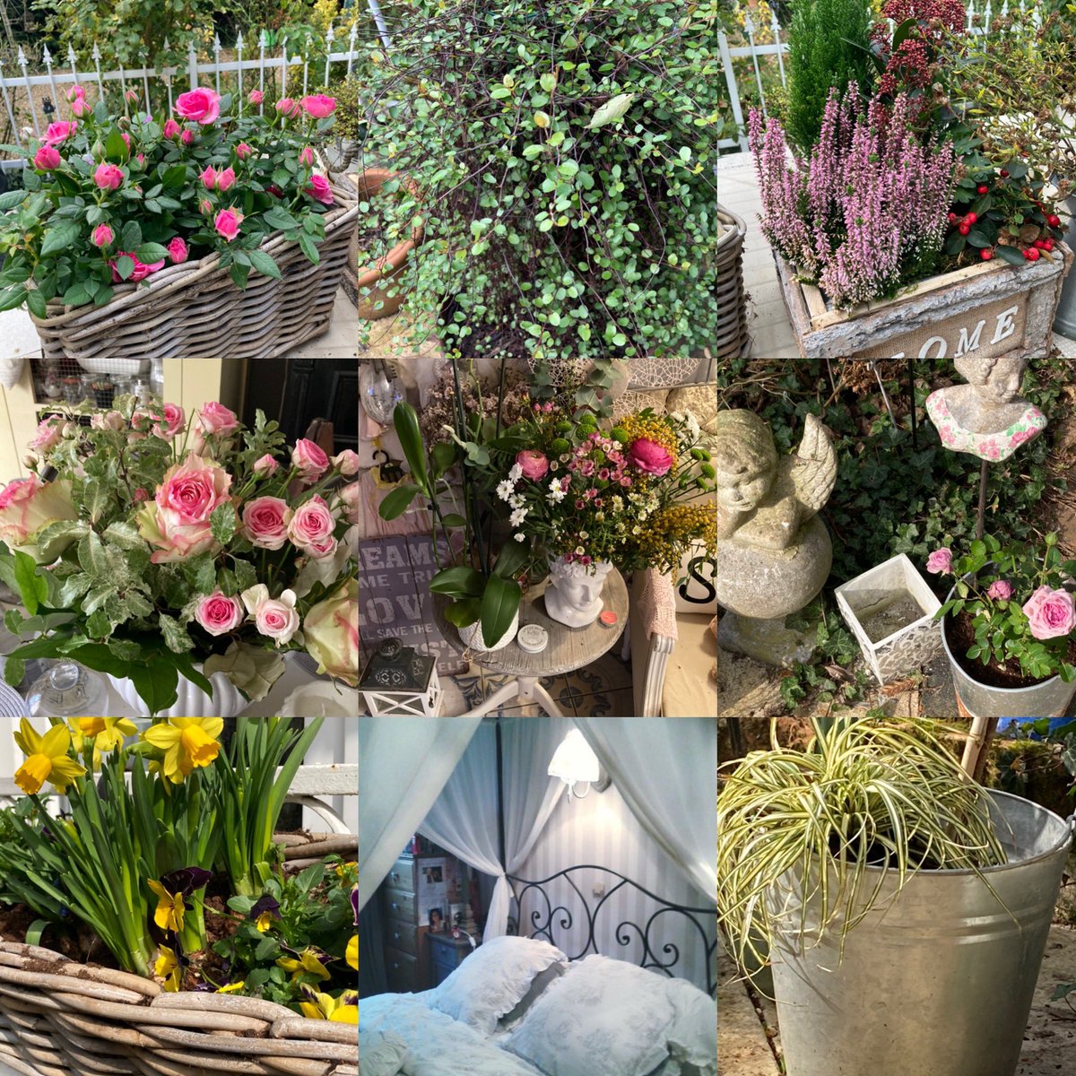 MaisondeFlore's tweet photo. Bye mars, bonjour avril, doux jeudi à tous !💐☀️🍃#homesweethome2021# https://t.co/UU5eEztTXp