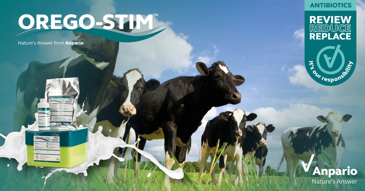 anparioplc's tweet photo. In a study, #OregoStim Liquid, included in milk at 10ml per #calf per day for 10 days, significantly reduced development of #AMR in E. coli to 4th generation cephalosporins in the faeces of #dairycalves.

Read: https://t.co/i9BCaOb2z9

#NaturesAnswer #SupportMilkYields #TeamDairy https://t.co/dsymiZDZSs