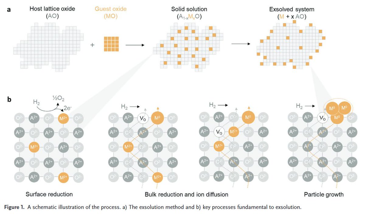 StrathclydeOA's tweet photo. Emergence and future of exsolved materials https://t.co/XnH6FYFrBJ #nanomaterials #chemical #engineering #exsolution #OpenAccess @Strath_ChemEng @Dragos__Neagu https://t.co/hg9xsVdz2z