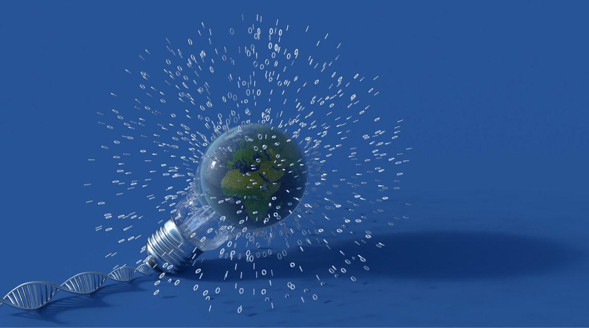 KISTE Project tweet media