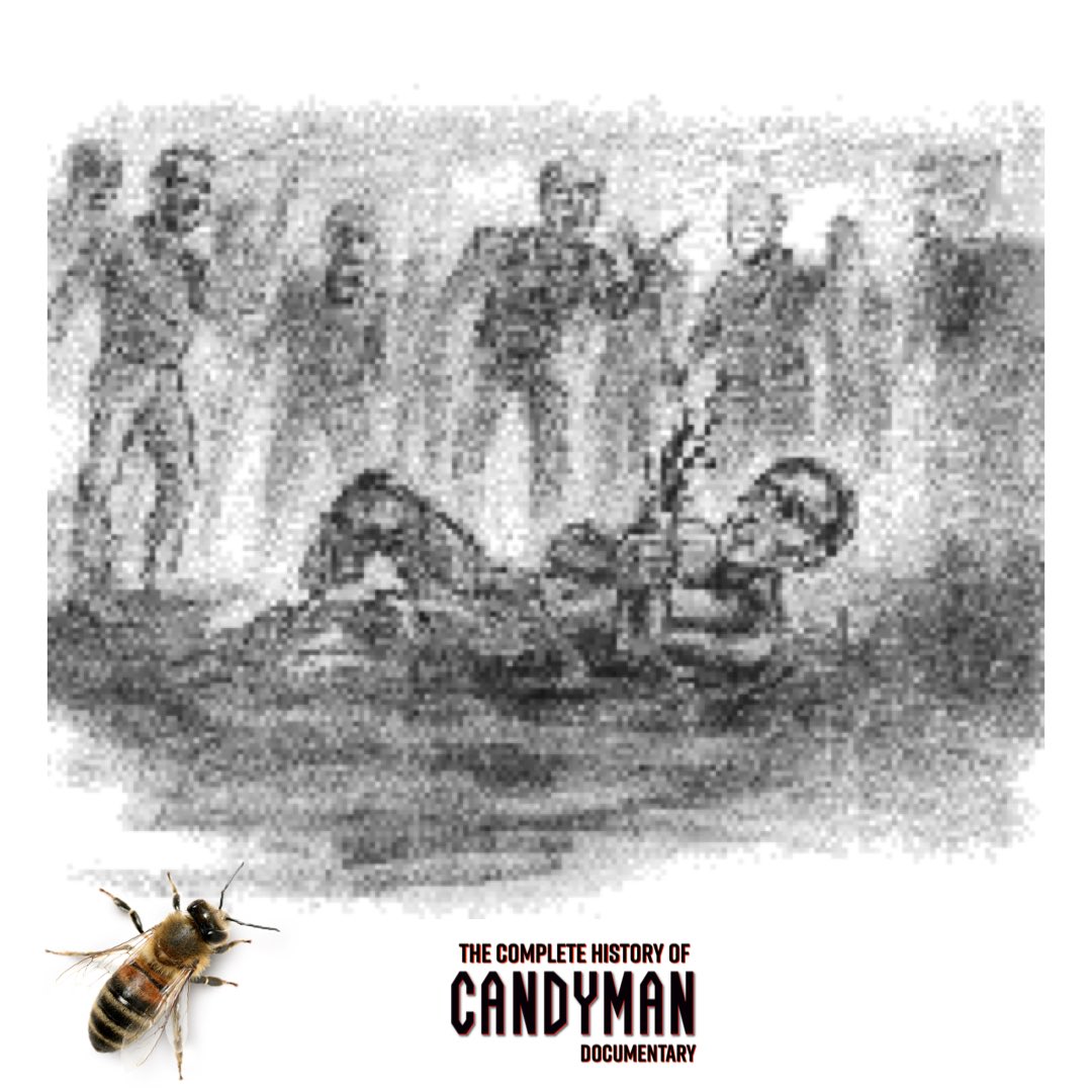 The Complete History of Candyman Documentary🐝 tweet media