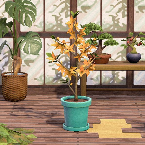 beawiitch's tweet photo. the forsythia is available to order! 🪴 https://t.co/lrjEOQHUtE