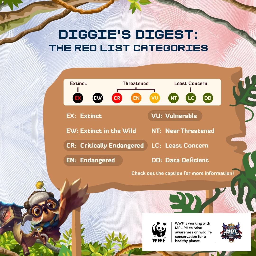 WWF_Philippines's tweet photo. Hoot Hoot! Diggie here! Do you know what the Red List is? Itβs an important indicator of the health of the world's biodiversity. Hereβs how the species are categorized β¬οΈ
Stay tuned for another digest next week! @MplPhilippines
#BeLegendary #VictoryForNature #TogetherPossible https://t.co/gL3rfMDnuZ