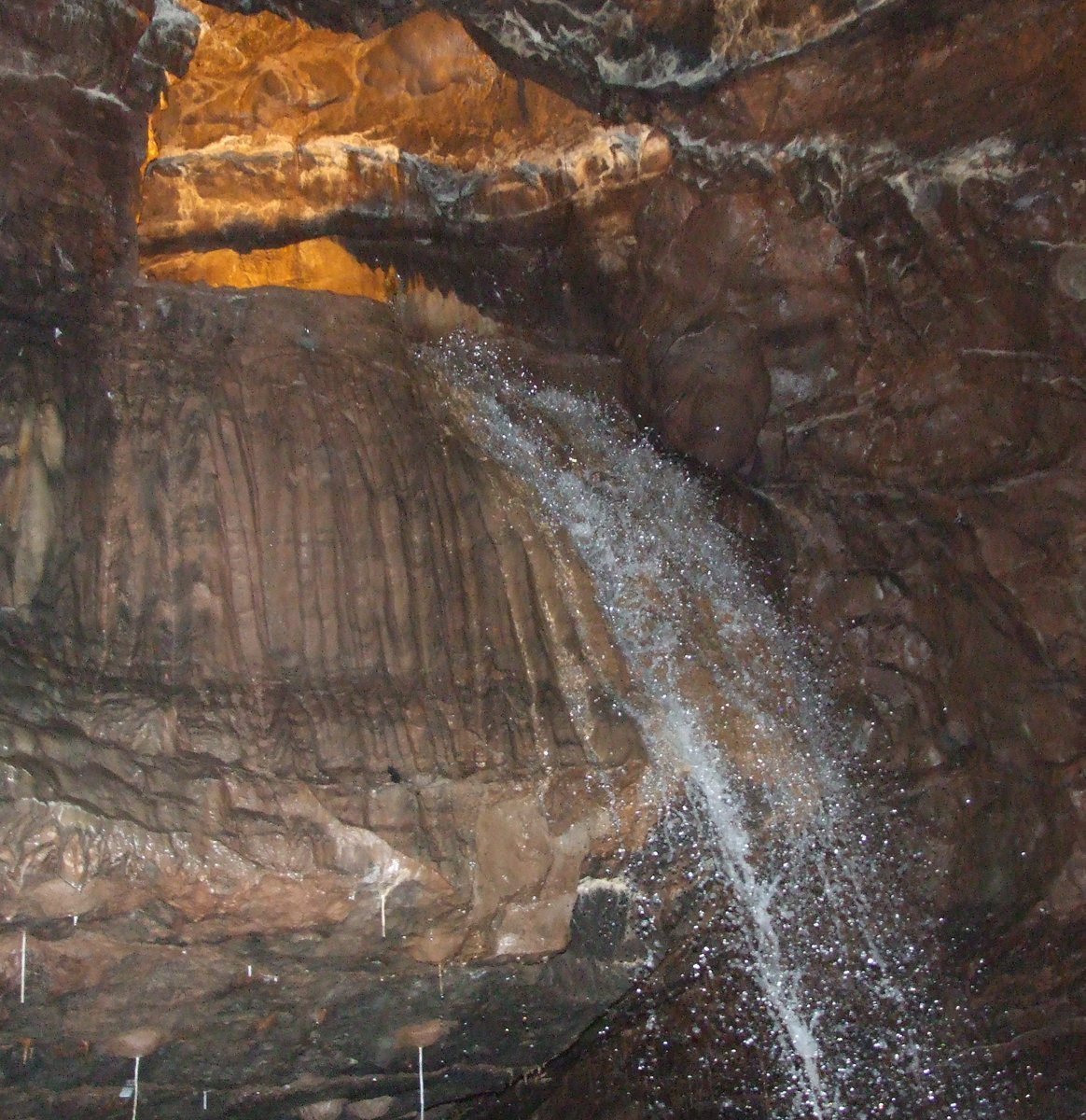 afewmilesmore's tweet photo. #Top4Inside caves:

↖ Dan yr Ogof, @BreconBeaconsNP, 🏴󠁧󠁢󠁷󠁬󠁳󠁿
↗ Gough’s Cave, Cheddar, 🏴󠁧󠁢󠁥󠁮󠁧󠁿
↙ Grotta di Nettuno, Sardinia, 🇮🇹
↘ Peristerias Stalactite Gorge, Peloponnese, 🇬🇷

for #Top4Theme, hosted by @CharlesMcCool, @Giselleinmotion, @perthtravelers, and @Touchse. https://t.co/iPGpV86p1t