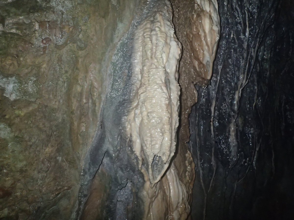 afewmilesmore's tweet photo. #Top4Inside caves:

↖ Dan yr Ogof, @BreconBeaconsNP, 🏴󠁧󠁢󠁷󠁬󠁳󠁿
↗ Gough’s Cave, Cheddar, 🏴󠁧󠁢󠁥󠁮󠁧󠁿
↙ Grotta di Nettuno, Sardinia, 🇮🇹
↘ Peristerias Stalactite Gorge, Peloponnese, 🇬🇷

for #Top4Theme, hosted by @CharlesMcCool, @Giselleinmotion, @perthtravelers, and @Touchse. https://t.co/iPGpV86p1t