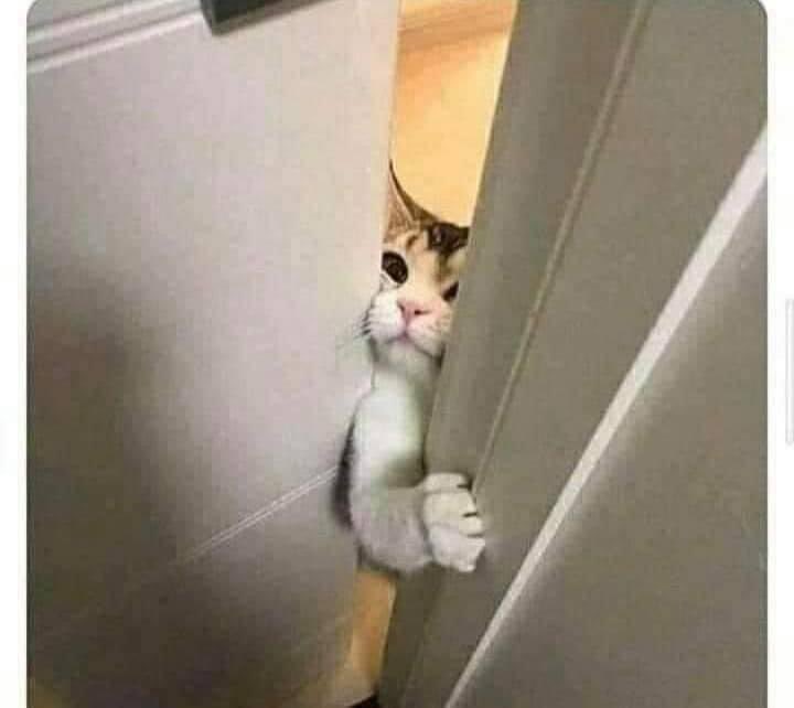 आज April 1st (World April Fool Day)
विश्व मूर्ख दिवस।
साथी ले झुक्याएको हो होइन भनेर कसरी थाहा पाउने?
मूर्खका बिज्ञहरु द्वारा निम्न... See more