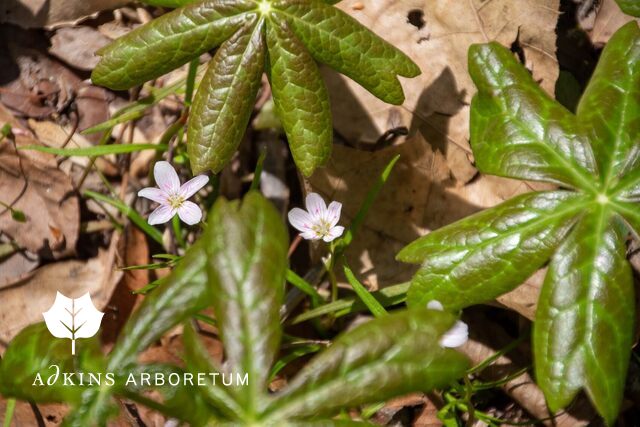 Welcome back! conta.cc/3sG2qpR