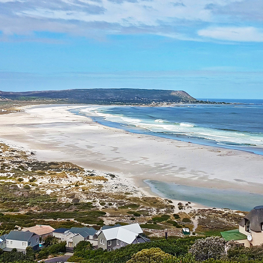 #Atlantic #surfreport Thurs April 1. Swell is 400 feet, sharks have grown legs, the water has gone orange &amp; Mickey Dora lives. No, its the first day of April, the swell is solid &amp; wind SE with low tide at noon. #gosurf #sasurfhistory #corduroylines #theoom #doralives #kakapo #kom