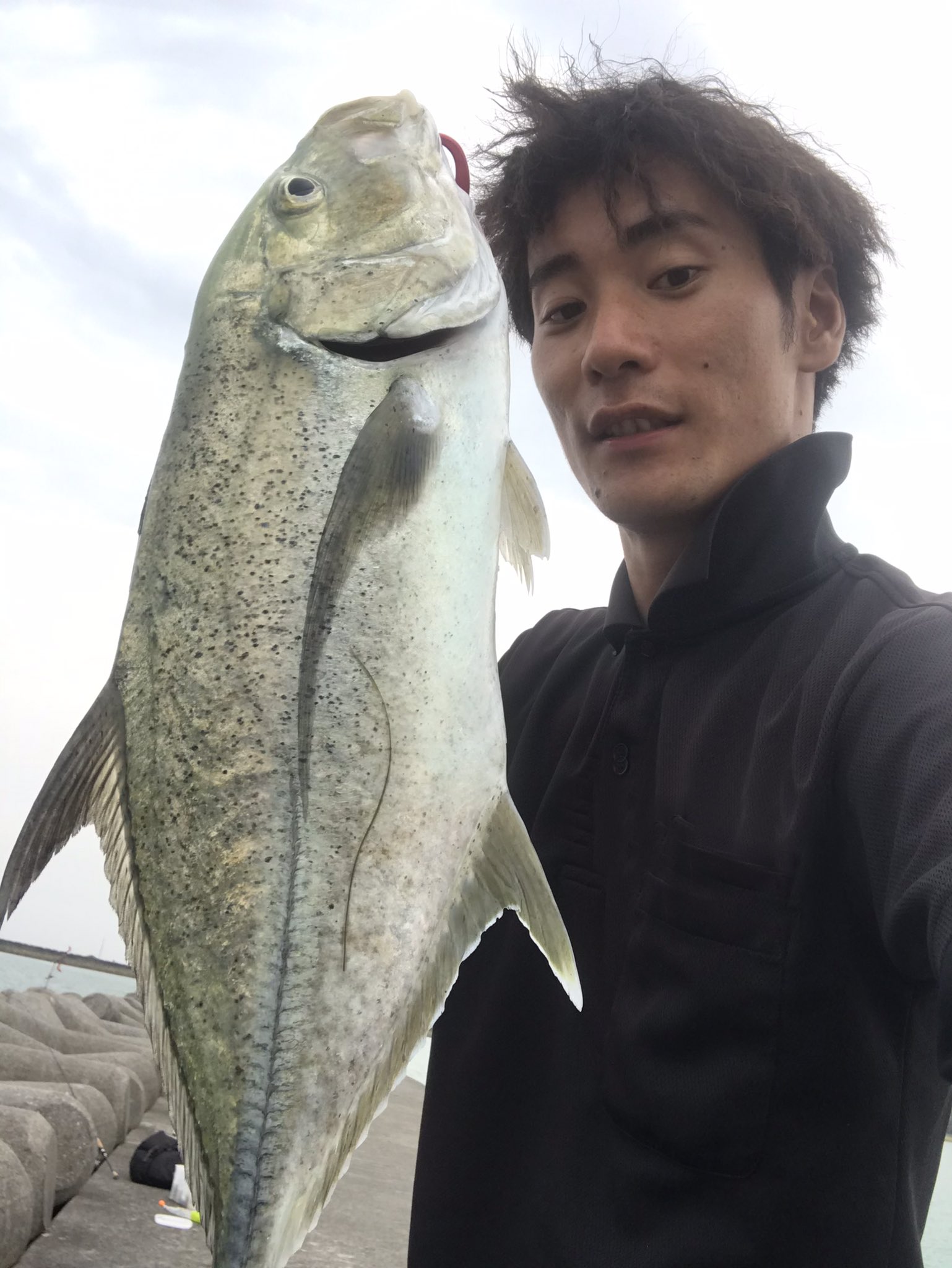 Bait Ball Y Y アジングタックルでやらかしました Pe0 6号 リーダー3号で60upのオニヒラ獲りました 何回も切られそうになって スリリングなファイトで手震えたわ 笑 オニヒラさんありがとう ソアレss ステラ アジング 沖縄釣り T