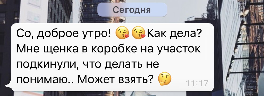 zoludevaa's tweet photo. Ого! Вот это шутка от моей маман ;)))))) https://t.co/JB5clJiBiu