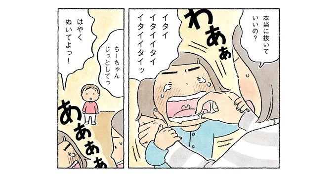 CHANTOwebさんでの連載「#ちーちゃん」、公開されました。今回は歯の生え替わりに関するきょうだいのお話です。弟くん、いざという時に大きな声で言えるの、かっこいい!

第63話「もうやめて!!お母さんダメと弟が言った訳」
|ながしまひろみ ￼https://t.co/S2YiC41Jfo
@CHANTO_magazine 