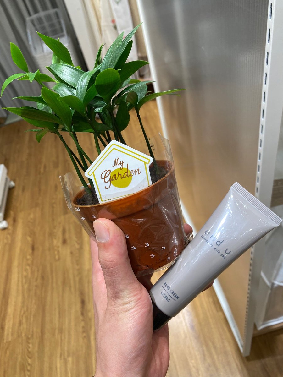 籔本 豊 観葉植物とハンドクリーム 3coins In 神戸市 兵庫県 T Co Laqqxibt3c