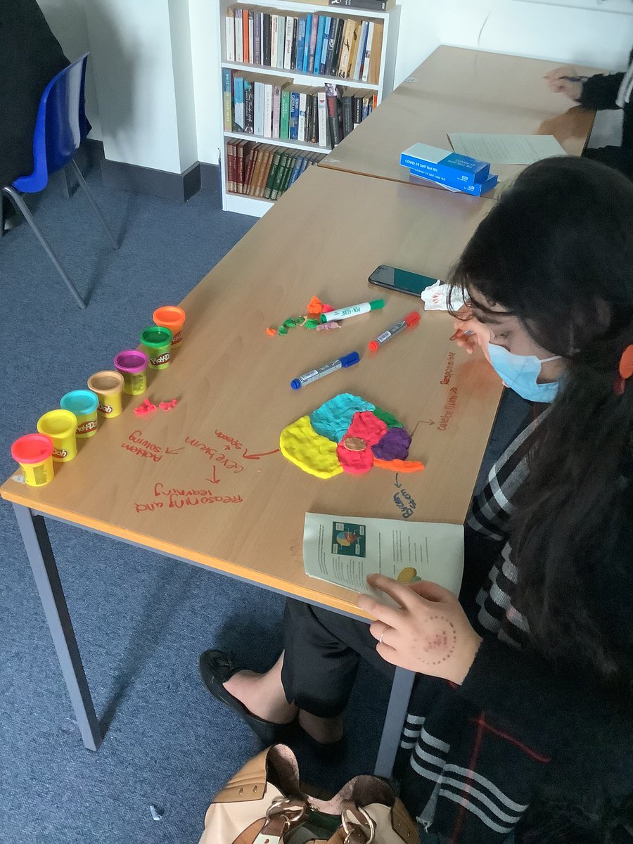 Bisma has done a great job studying the brain lately and has demonstrated her knowledge through her model brain this morning. Brilliant job!