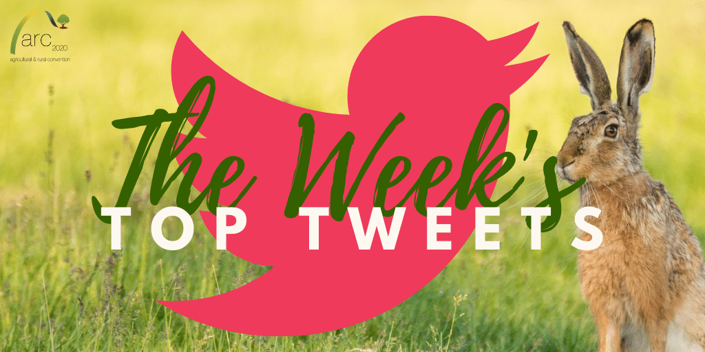 The Week's Top Tweets 😎 are here: arc2020.eu/tweets-of-the-…

With:
<a href="/xAlan_Matthews/">Alan Matthews alanmatthews@bsky.social</a>
<a href="/GuyPeer3/">Guy Pe'er</a>
@GlobalEcoGuy
<a href="/nature/">nature</a>
<a href="/jwojc/">Janusz Wojciechowski</a>
<a href="/gerardofortuna/">Gerardo Fortuna</a>
<a href="/ECLLD/">European Coordination Let's Liberate Diversity!</a>
<a href="/DesiraH2020/">DESIRA_H2020</a>
<a href="/foodsafetyljm/">Louise Manning</a>
<a href="/IPESfood/">IPES-Food</a>
<a href="/NatashaFoote/">Natasha Foote</a>
<a href="/tomphilpott/">Tom Philpott</a>