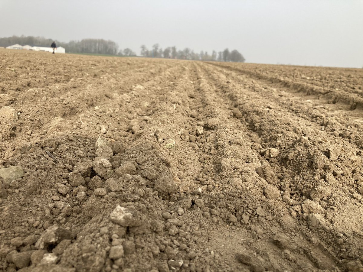 Benoit Normand tweet media